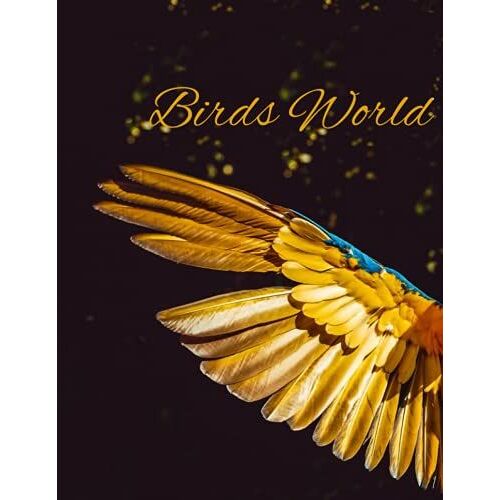 Sketchbook For Drawing, Doodling Or Posting Beautiful Bird Pictures, Writing Information For Bird Lovers. Drawing, Diary, Design, Drawing (Bird ... 120 Pages, 8.5 X 11 Inchs (21.59 X 27.94 Cm)