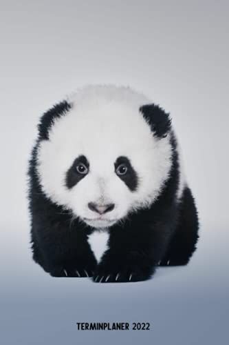 Terminplaner 2022: Panda Design Jahresplaner Und Kalender Von Januar Bis Dezember 2022 Mit Ferien, Feiertagen Und Monatsübersicht - Organizer Und Zeitplaner Für 1 Jahr (German Edition)