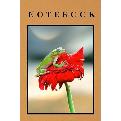 Notebook: Journal Frog Boys Girls Kids Teens Students Writing Notes