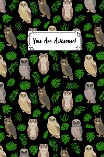 You Are Awesome Owl Composition Notebook: Bird Lover Owl Journal Notebook For Men, Women, Girls, Kids - 6 X 9" 100 Pages