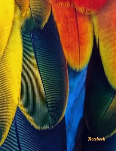 Feathers 2 : Composition Notebook - College Ruled / 100 Pages / 8.5 X 11: Notebook : Feathers 2