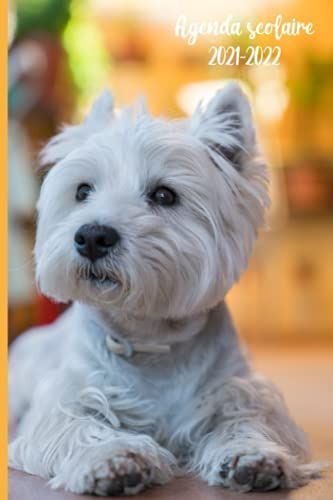 Agenda Scolaire 2021-2022: Journalier; Une (1) Page Par Jour Couverture Le Bichon Maltais Pour Fille Et Garcon Format A5, Etudiant, Primaire, College, Lycée, Profs (French Edition)