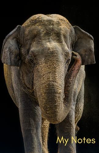 My Notes: Elephant Notebook Journal. Perfect Gift For Birthdays, Christmas, Teens And Elephant Lovers. 108 Pages