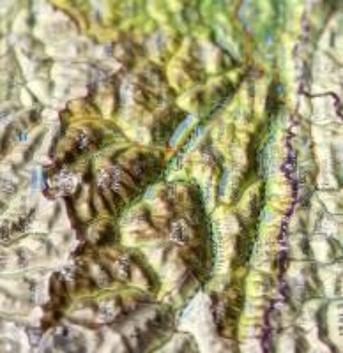 Markgraf, A: Reliefpostkarte Kärnten