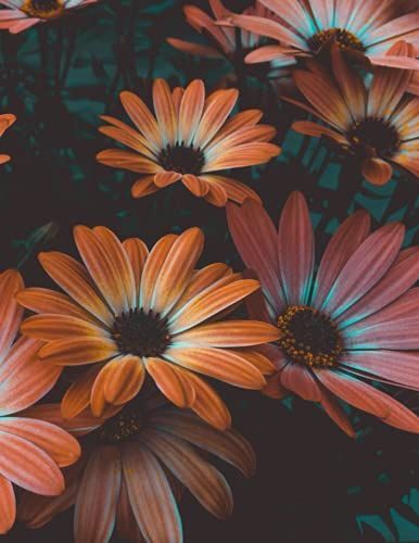 Vintage Red Daisy Field - Slim Dot Grid Journal: 100 Page, Large 8.5x11 Inch Pages With Gray Dotted Page Grid