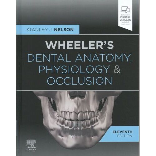 Wheeler's Dental Anatomy, Physiology And Occlusion