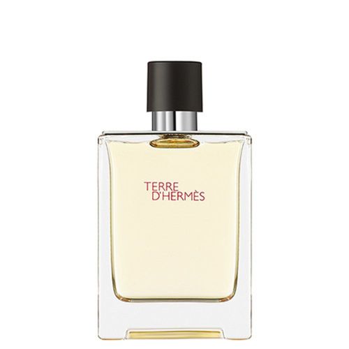 Terre D'hermès - Hermès - Eau De Toilette 100 Ml 