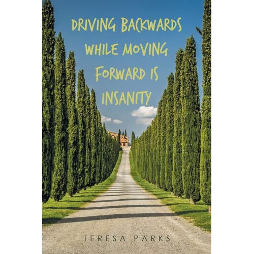 Driving Backwards While Moving Forward Is Insanity
