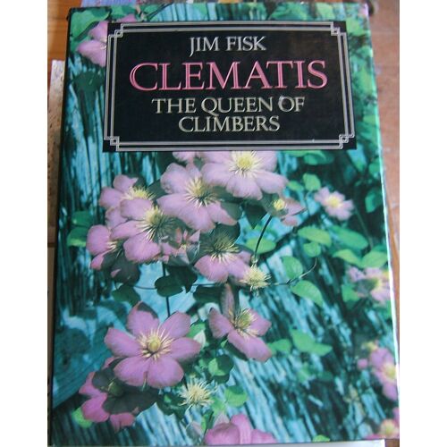 Clematis