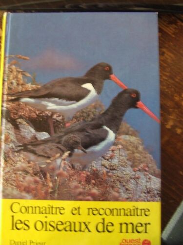 Connaitre Et Reconnaitre Les Oiseaux De Mer