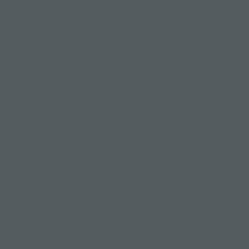 Peinture Radiateur - Fonte acier alu chauffage toutes couleurs PEINTURE RADIATEUR RAL 7011 Gris fer Kit 1 Kg jusqu'a 5m² pour 2 couches