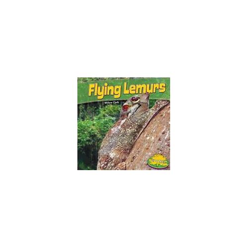 Flying Lemurs