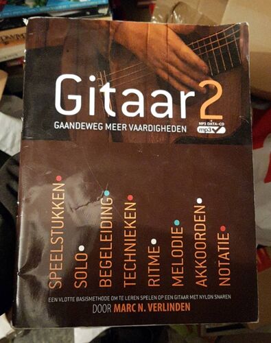 Gitaar 2 Gaadeweg Meer  Vaardigheden