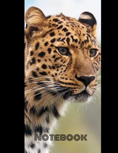 Notebook: Animal Design Black Cover Privet Notebook For Girls, Boys, School, Office, Journal Writing, 120 Pages (8.5 X 11 Inches)