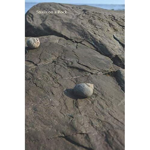 Snails On A Rock: A Journal (The Little Viking Journal Collection)