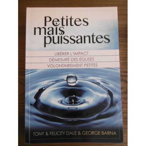 Petites Mais Puissantes - Libérer L'impact Démesuré Des Églises Volontairement Petites