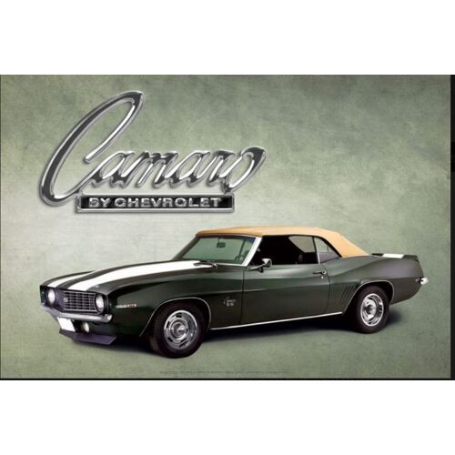 Plaque Camaro Cabriolet Ss Noire Et Blanche 40x30 Cm Tole Aspect Vieillit