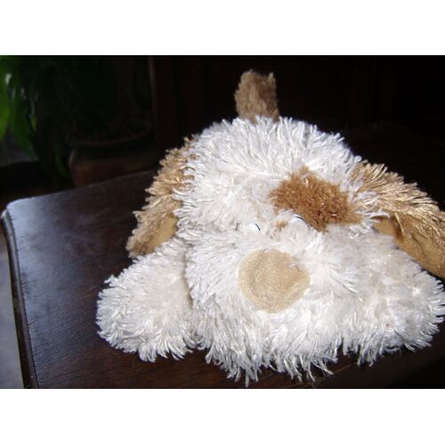 Doudou Chien