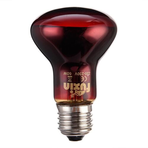 Lampe Chauffante Pour Animaux De Compagnie, Ampoule Chauffante, Émetteur De Verre, Couveuse Pour Animaux De Compagnie, Lampe Chauffante Pour Reptiles, Lampe Chauffante Pour Amphibiens, 60w, 75w, 100w