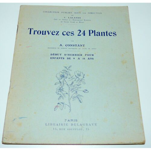 Trouvez Ces 24 Plantes