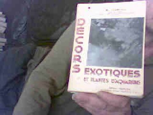 Decors Exotiques Et Plantes D'aquariums
