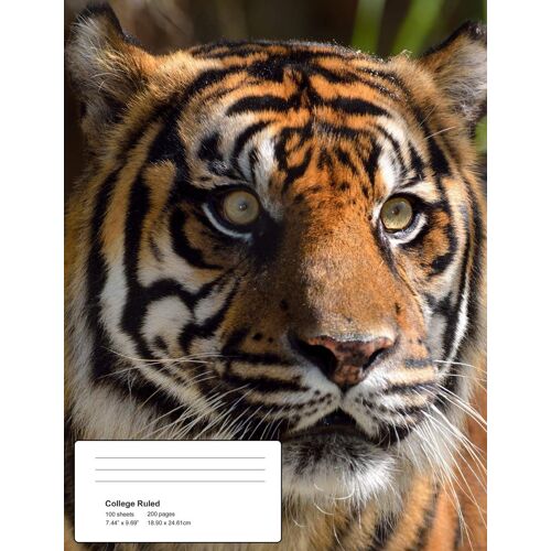 Help!: Tiger - Climate Crisis