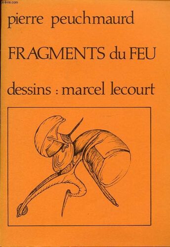 Fragments Du Feu
