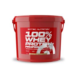 100% Whey Professional (5kg)|Vanille Fruits Rouges|Whey Protéine|Scitec Nutrition 