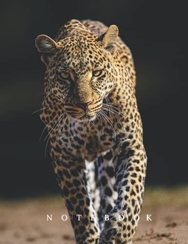 Leopard Cover Notebook: Leopard Print Notebook