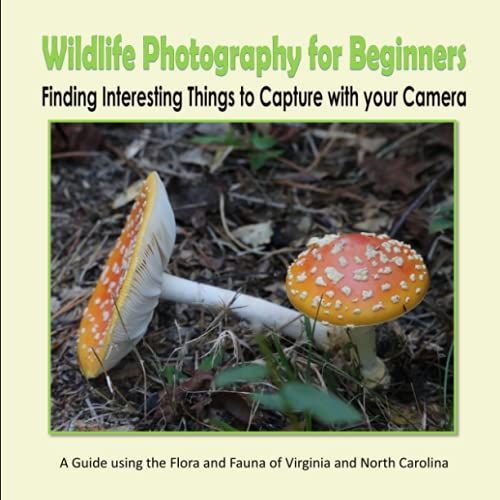 Wildlife Photography For Beginners - Finding Interesting Things To Capture With Your Camera: A Guide Using The Flora And Fauna Of Virginia And North Carolina