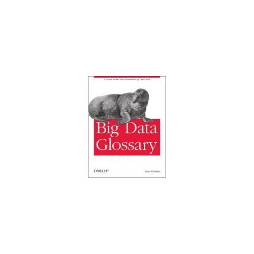 Big Data Glossary