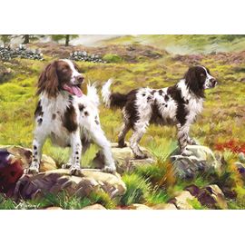 Spaniel On Moor - Puzzle 1000 Pièces