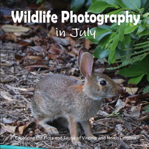 Wildlife Photography In July: Capturing The Flora And Fauna Of Virginia And North Carolina (Nature Photos Throughout The Year)