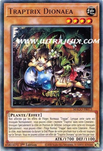 Traptrix Dionaea Mago-Fr075