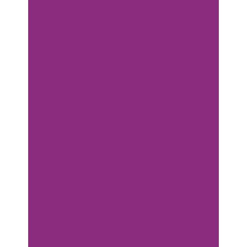 Violet Unlined Notebook: Large Blank Notebook 8.5 X 11 - 120 Empty Pages - Simple Cover Notebook (Colorful Blank Notebooks)