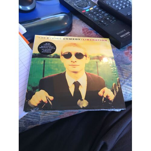 The Divine Comedy - Liberation