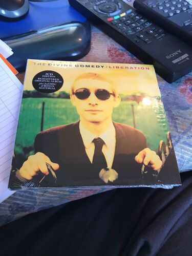 The Divine Comedy - Liberation