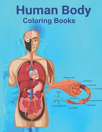 Human Body Coloring Books: Books For Children's Coloring Books, Anatomy Body Structure, Kids Age 6-12.