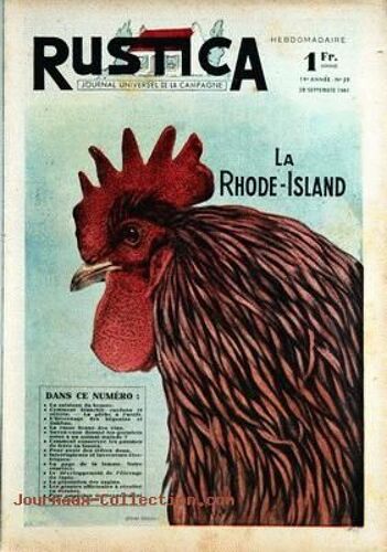 La Rhode Island - Comment On Blanchit Les Cardons Et Celeris - Vins:La Casse Brune