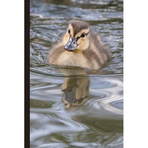 Notebook: Duckling Journal
