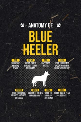 Anatomy Of Blue Heeler Funny Dog Lover Premium Getting Things Done Planner
