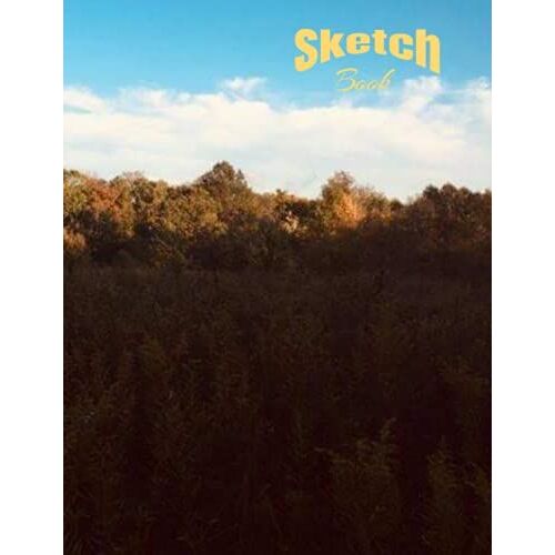 Sketch Book: Drawing, Painting, And All Your Doodling Fun