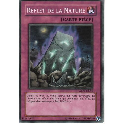 Reflet De La Nature Yu Gi Ho ! Abpf-Fr065