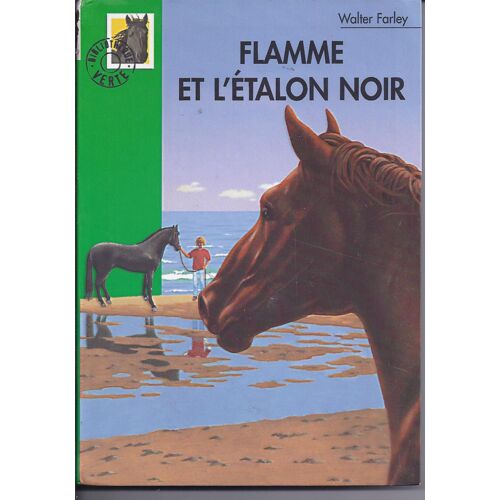 Flamme Et L'etalon Noir