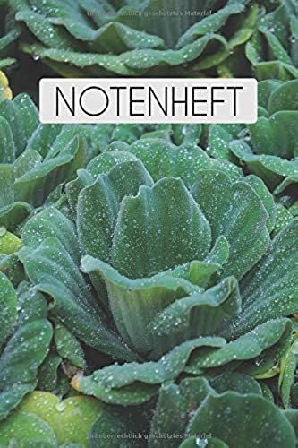 Notenheft: Notenheft, Motiv: Sukkulente