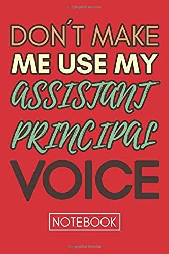 Don't Make Me Use My Assistant Principal Voice: Assistant Principal Journal, Assistant Principal Gifts, Assistant Teacher Appreciation Gifts
