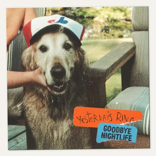 Goodbye Nightlife [Vinyl]