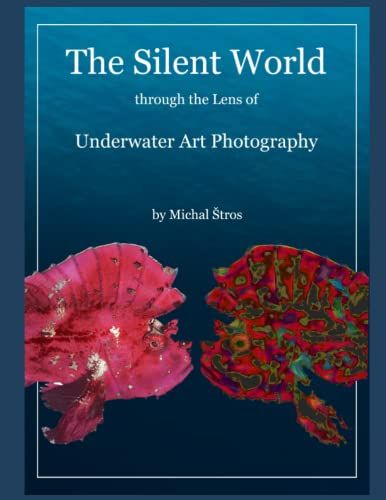 The Silent World Through The Lens Of Underwater Art Photography