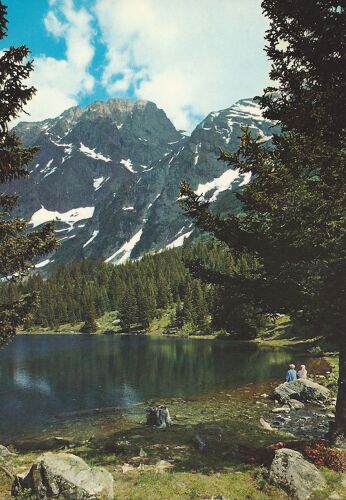 Lac À Truites En Haute Montagne