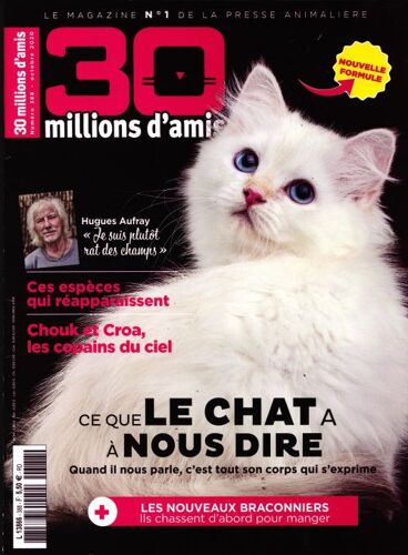 30 Millions D Amis Ce Que Le Chat A A Nous Dire